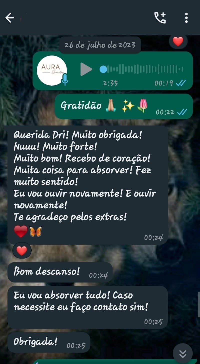 Feedback printscreen from whatsapp